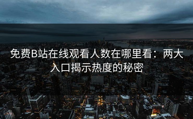 免费B站在线观看人数在哪里看：两大入口揭示热度的秘密
