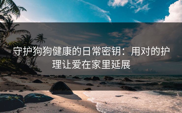 守护狗狗健康的日常密钥：用对的护理让爱在家里延展