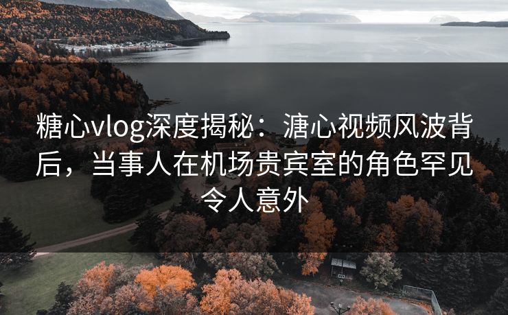 糖心vlog深度揭秘：溏心视频风波背后，当事人在机场贵宾室的角色罕见令人意外