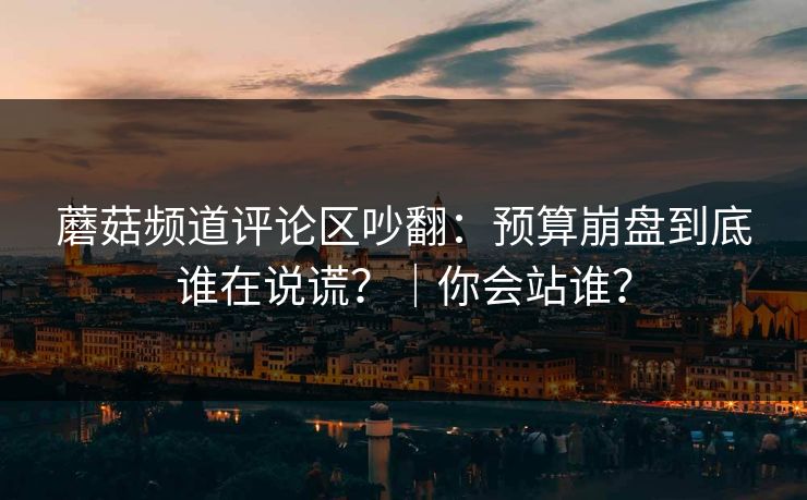 蘑菇频道评论区吵翻：预算崩盘到底谁在说谎？｜你会站谁？